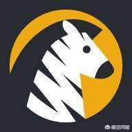游戏平台什么程序搭建网站