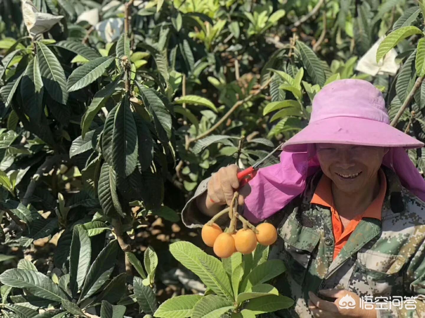 社区电商app开发定制
