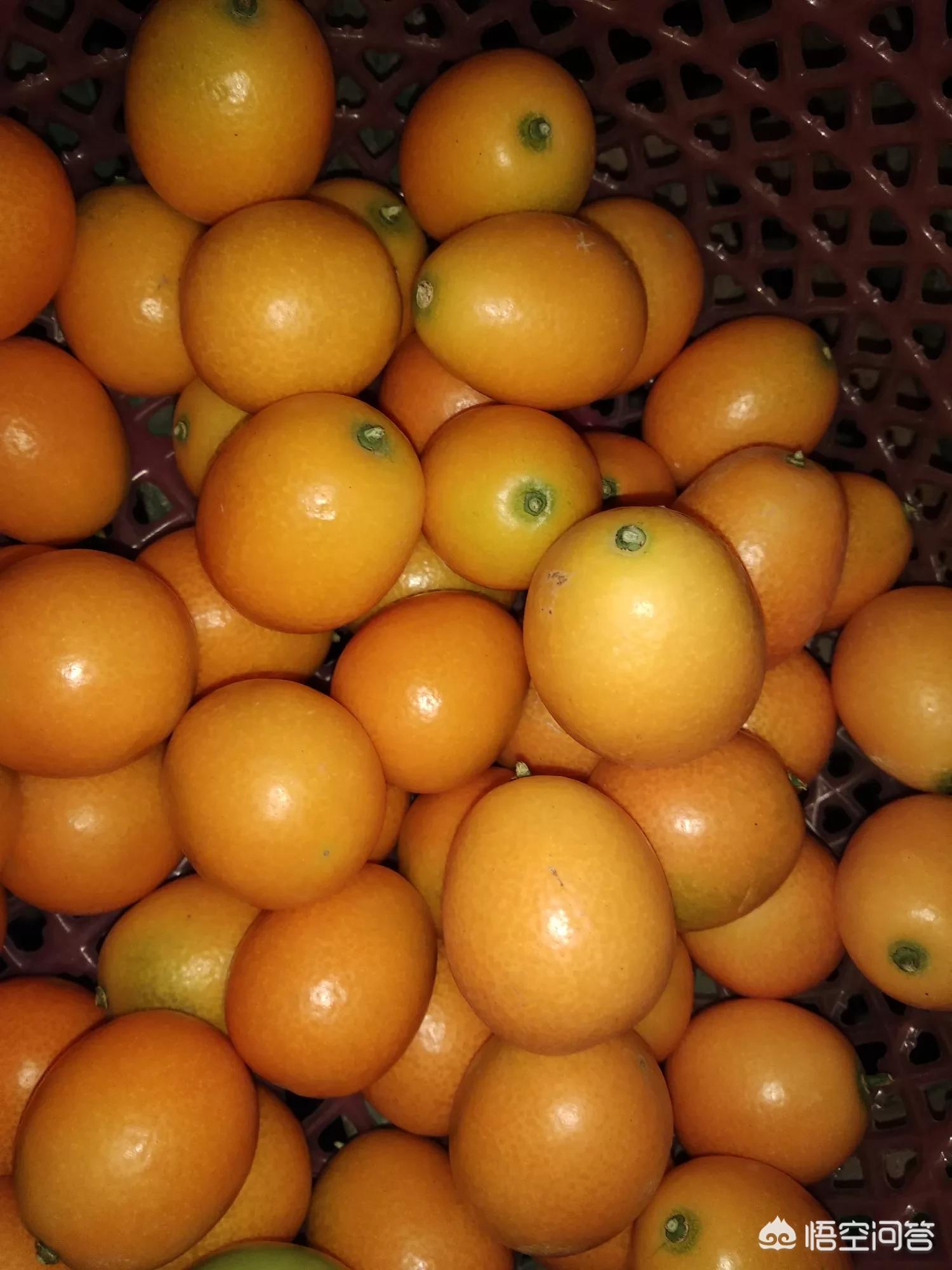 桂林最大水果批发市场？