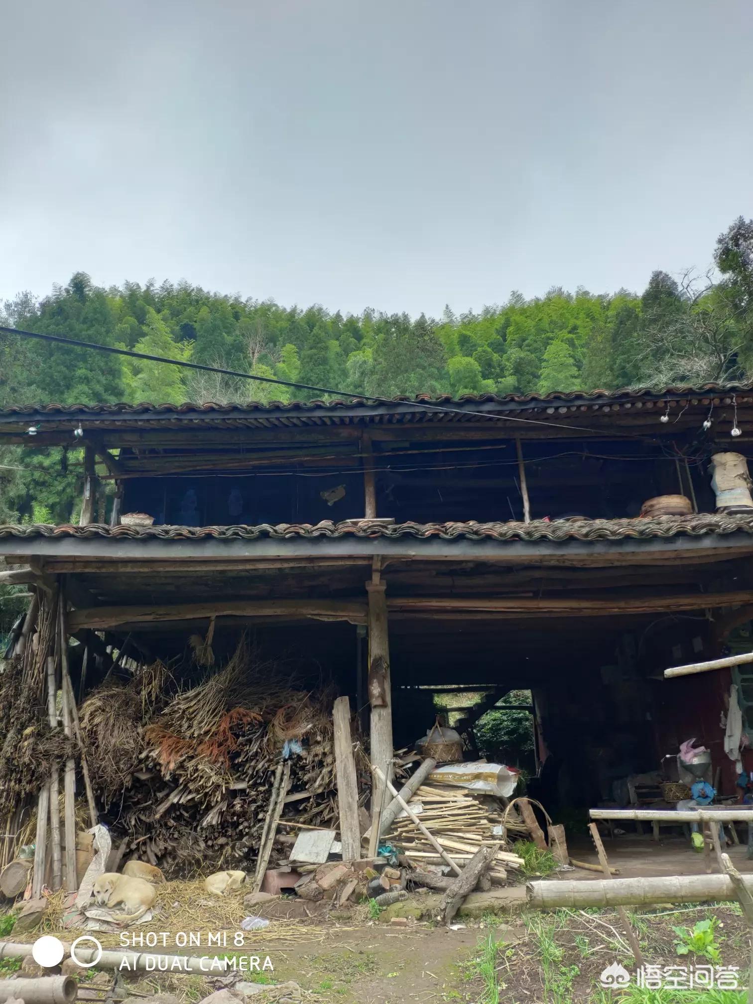 河南彩色微球怎么样