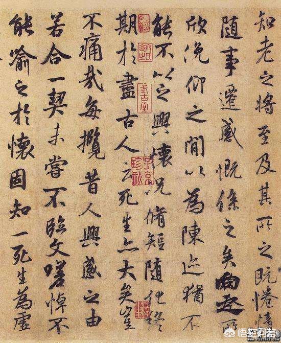 草书字体有哪些情感表现