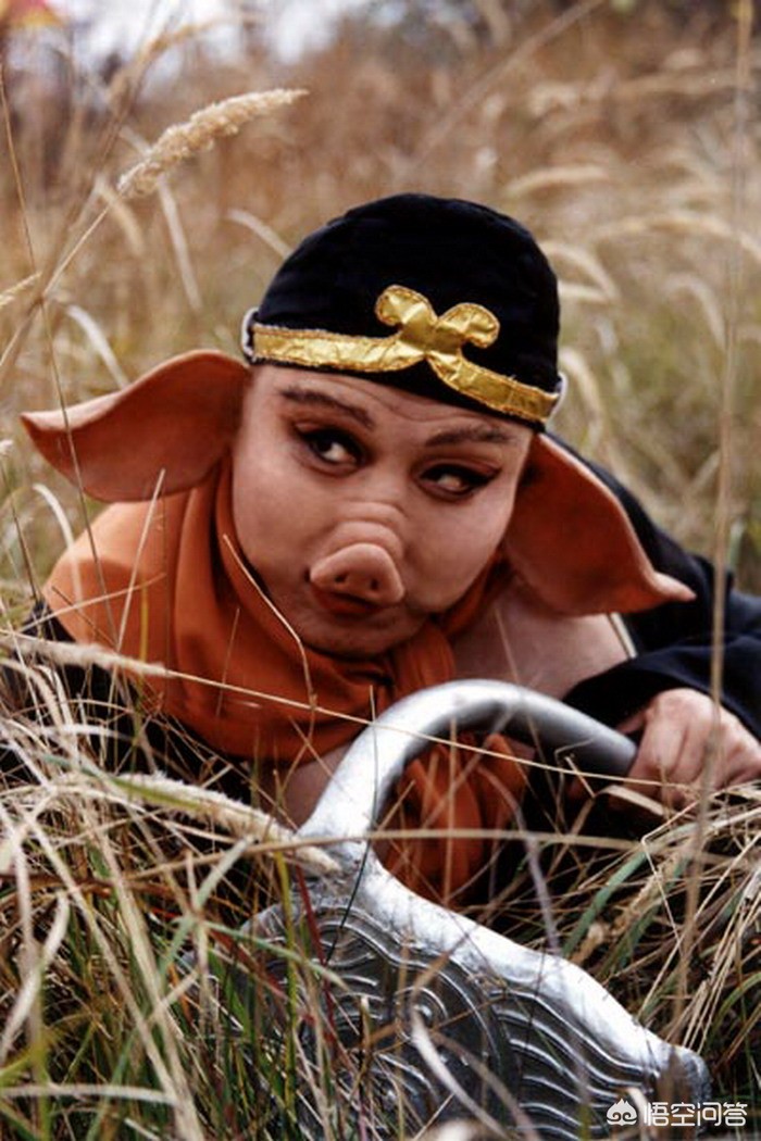 猴子照片猴子照片高清图片大全