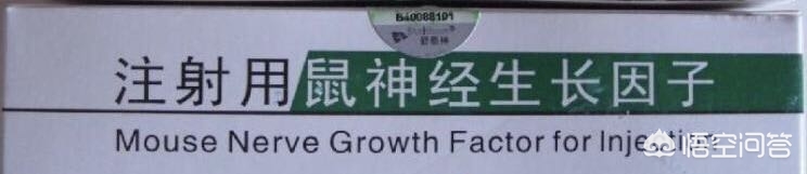 4岁孩子在海外生活好吗，4岁孩子在海外生活好吗知乎