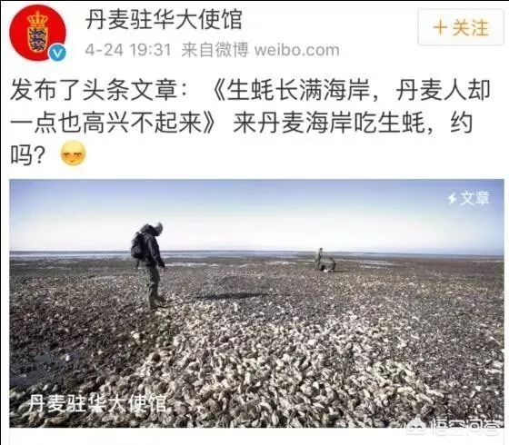 海外生活挣钱买美食，海外卖什么好