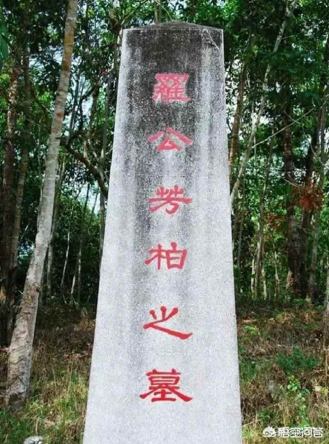 广东小伙在海外生活，广东小伙在海外生活视频