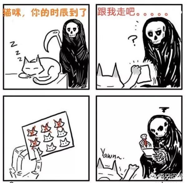 头片（图片的格式有哪几种呀？）