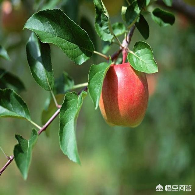 各品牌库存汽车报价图片,各品牌的车的图片和价格