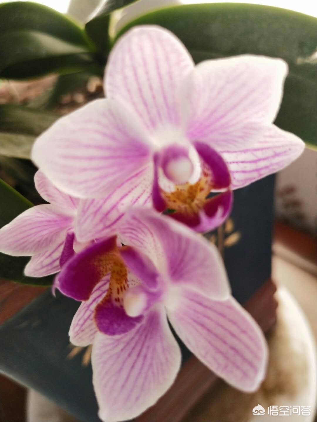 网络推广方式（网络营销包括哪些？）