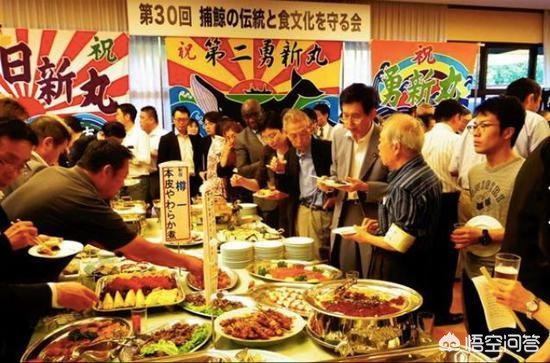 海豹的海外生活，海豹的海外生活视频