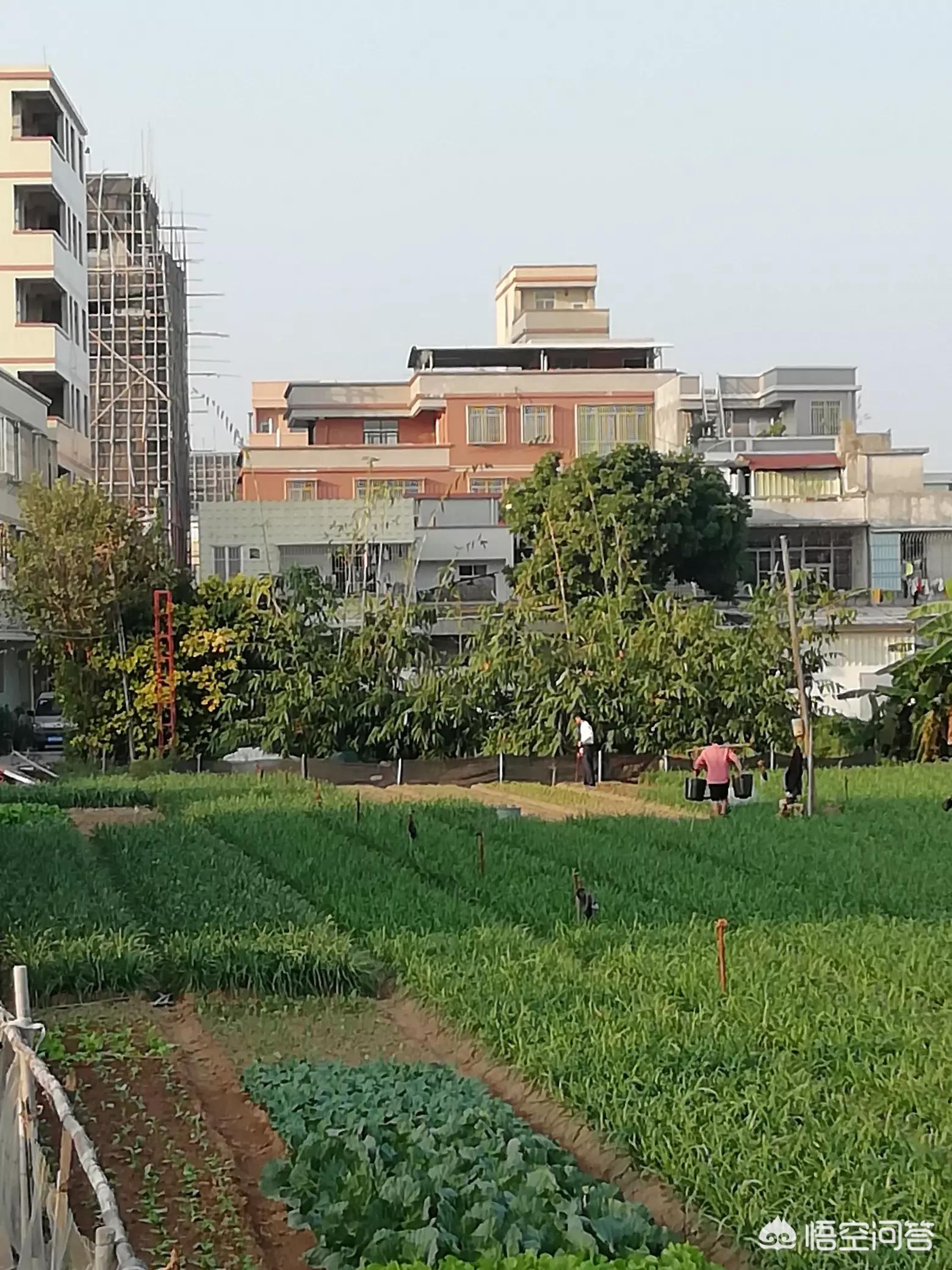 深圳市界点怎么样