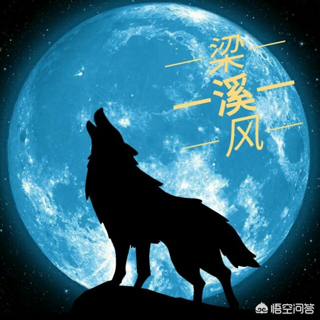 [华米ov]华米OV、荣耀谁更高端，你觉得什么样的手机，才称得上高端？