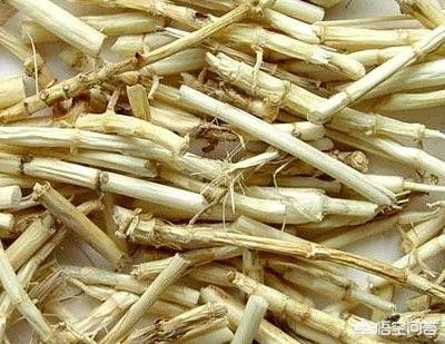 黄毛汽车报价,黄毛车多少钱