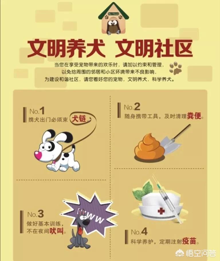 兰州市住建局：物业小区开展文明养犬整治, 你怎么看？