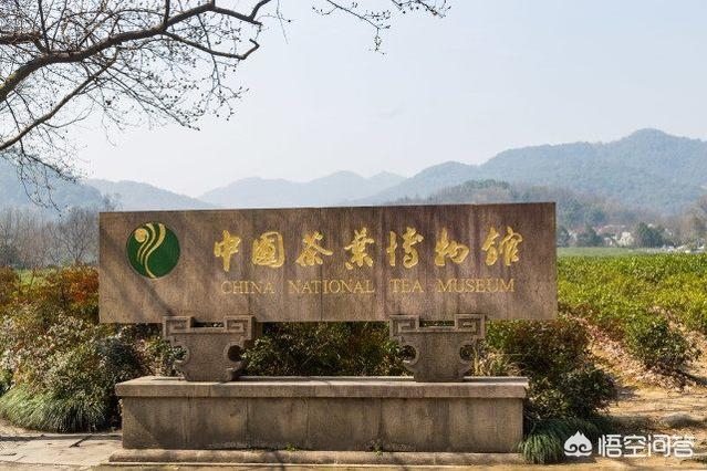 杭州博物馆属于哪个区？