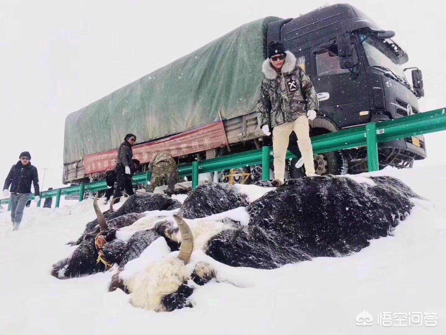 [国庆第一天青海下雪]青海什么时候开始冷，什么时候开始下雪？