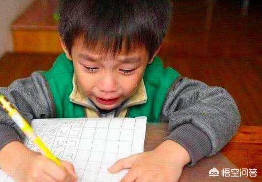 福建的书包怎么样