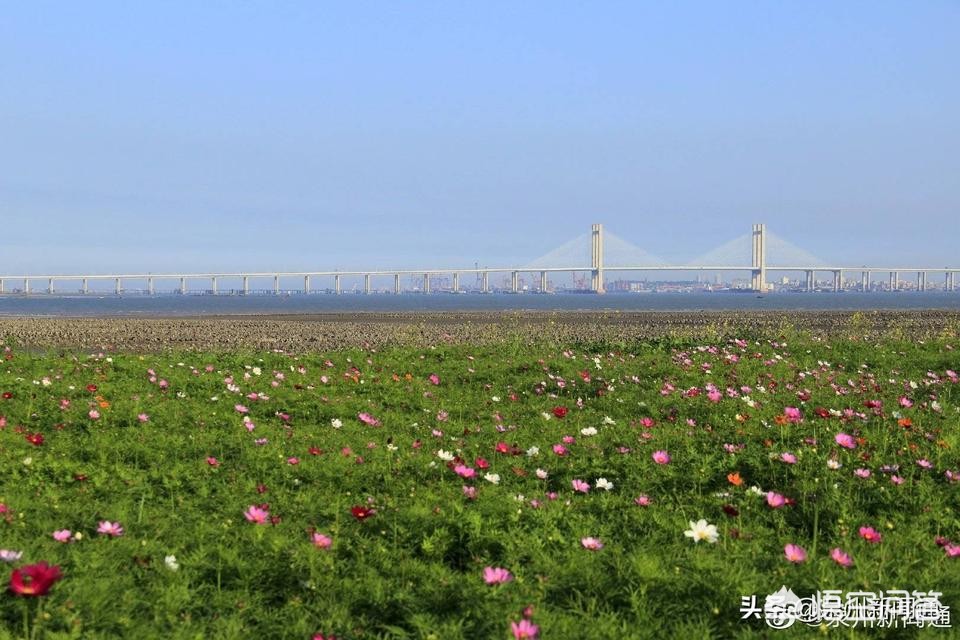 泉州市和大连市哪个好