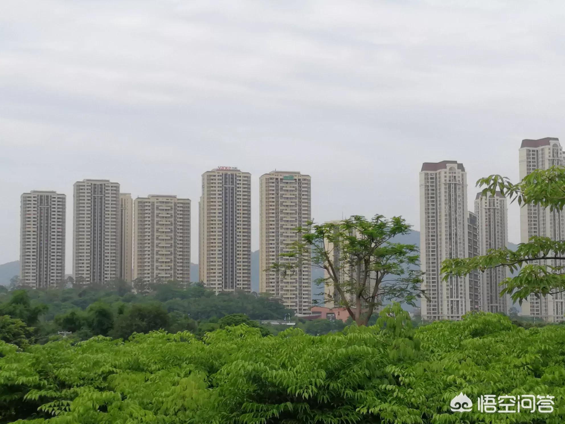 泉州市和大连市哪个好