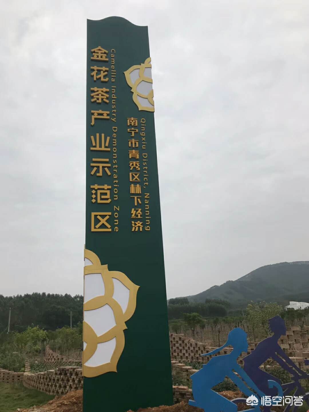 南宁市哪个城区强势些