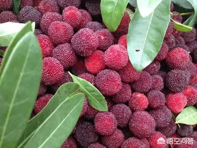 兰溪交通意外保险公司地址，兰溪保险公司电话