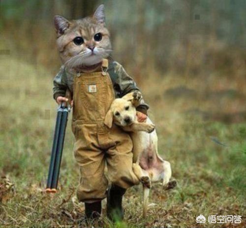 你有为某款手游疯狂过吗？你对在游戏里充几万的土豪怎么看？