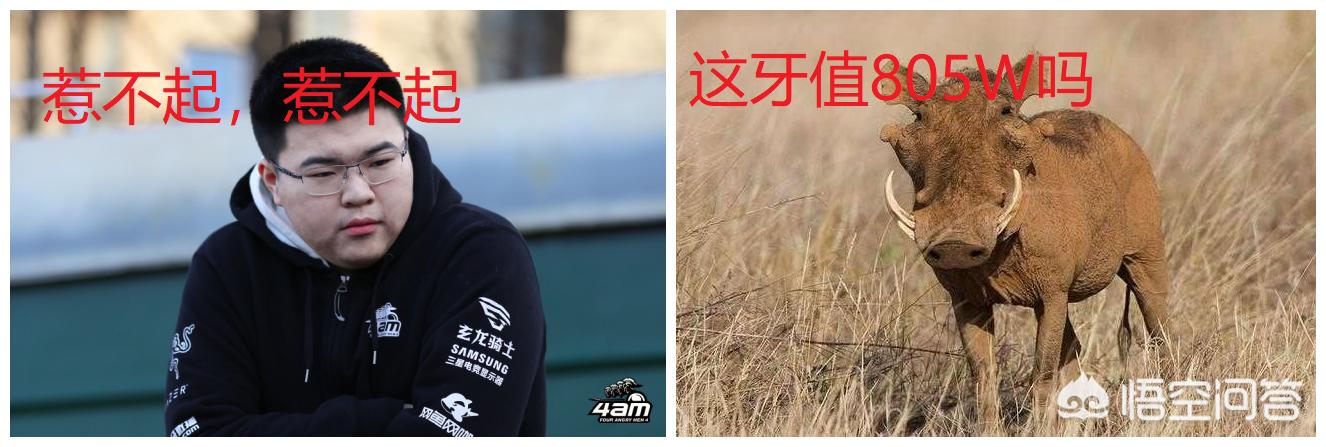 大连市旺哥是什么意思