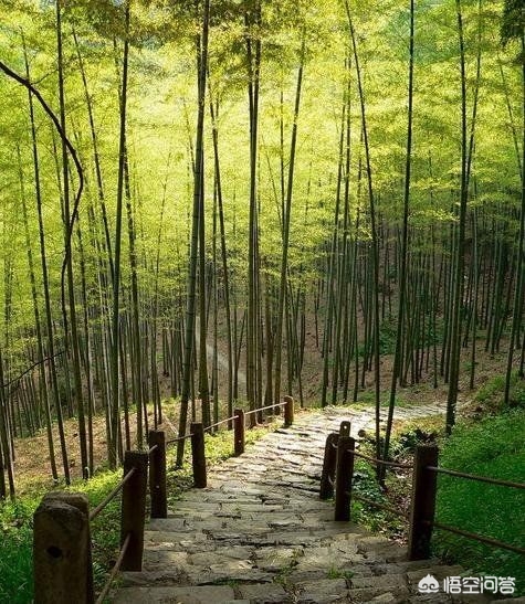 异国风景海外生活，异国风景海外生活视频