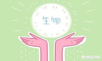 政治和生物哪门好学些知识，政治和生物哪门好学些知识呢