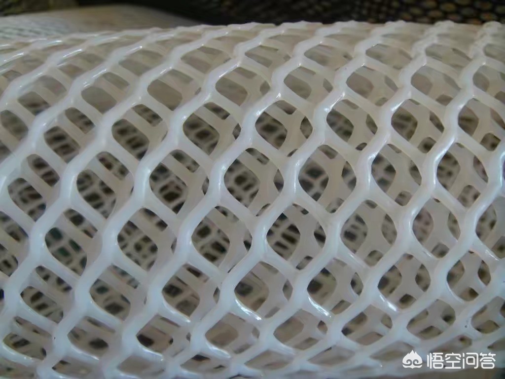 企业如何搭建网站建设