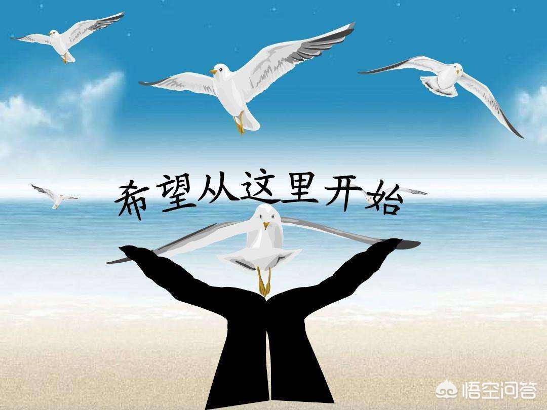 司机中毒向警车开去