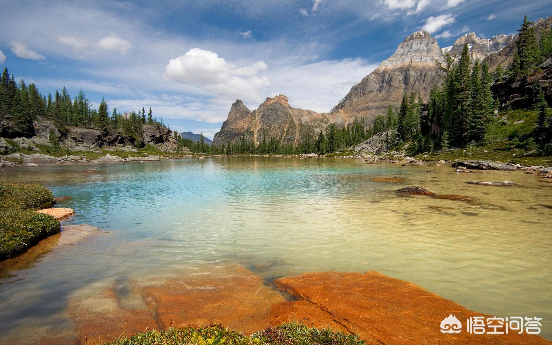 尼康d850(尼康d850深度评测?) 尼康d850(尼康d850深度评测?)