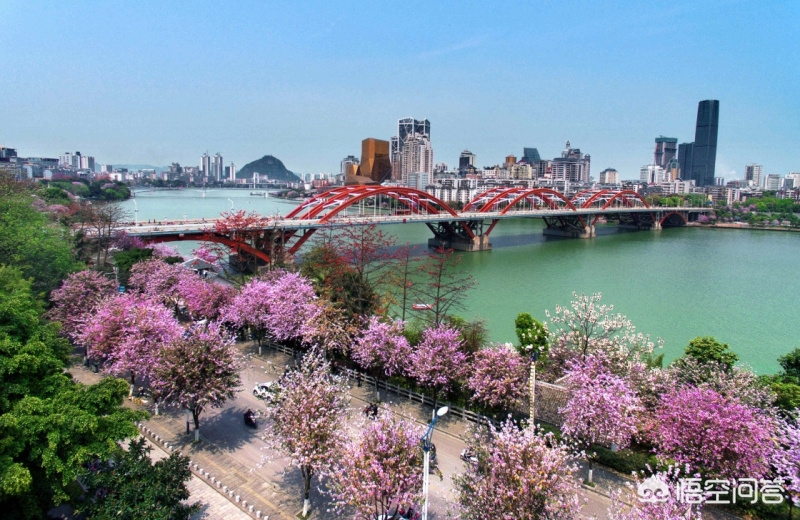 江苏徐州，广西柳州，河南商丘，这三个城市哪个城市的工业发展好？