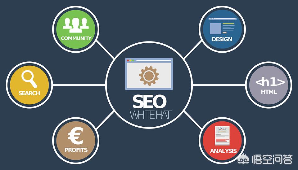 seo自学多久入门优化