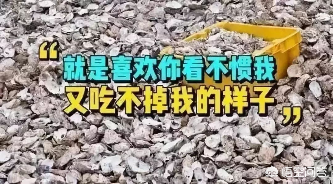 海外生活挣钱买美食，海外卖什么好