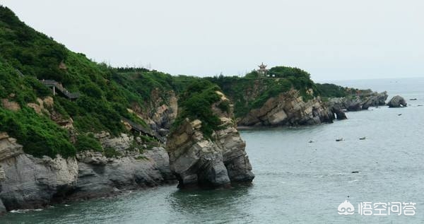 大连市和烟台市哪个大
