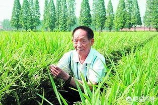 袁隆平汽车报价,袁隆平开的轿车多少钱