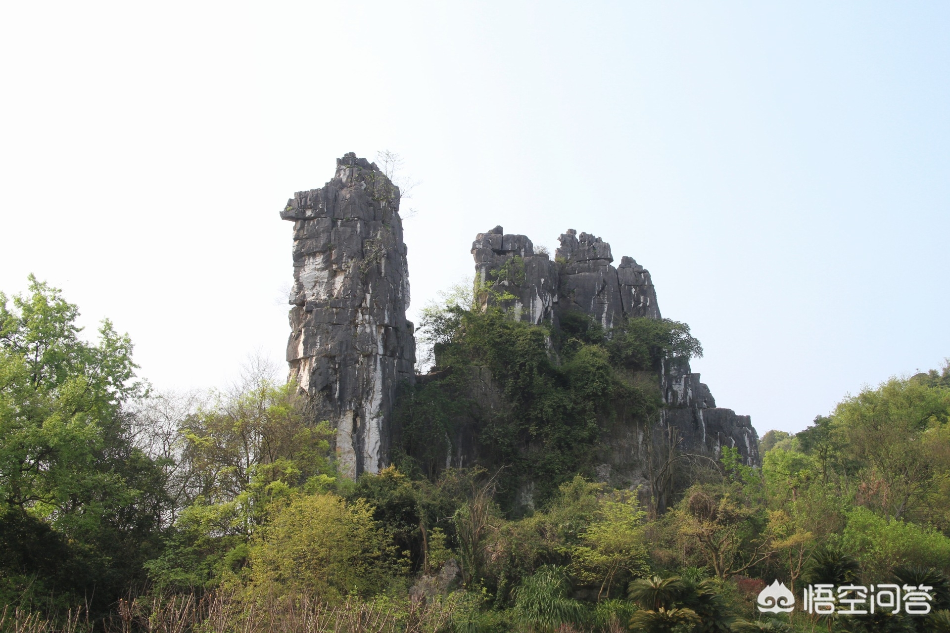 阳朔当地旅游团可靠吗？