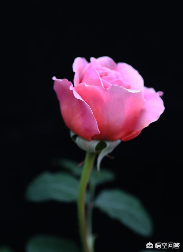 [黑色壁纸全黑]电脑屏幕总是自动变成黑色背景？