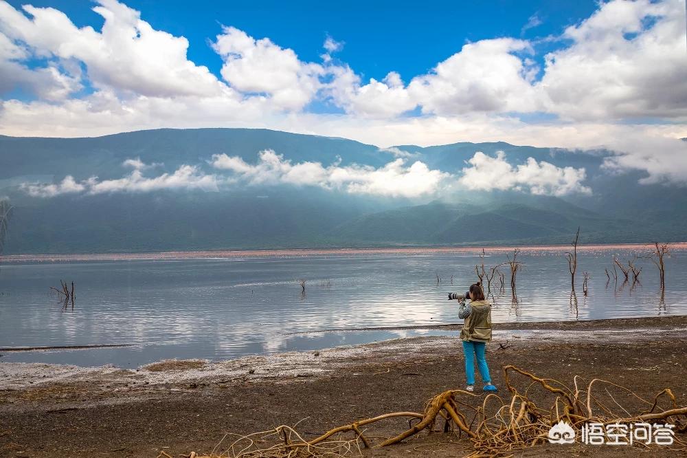 海外生活 美景视频大全，海外生活 美景视频大全下载