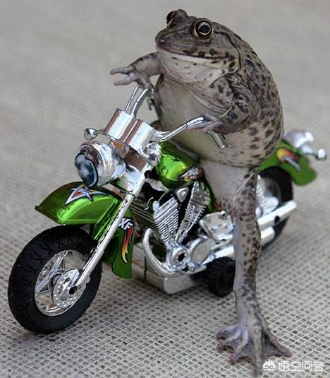 [老年人图片]老人与蛇的寓言故事？