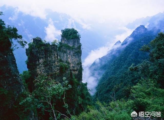 网站设计制作费用多少,求一个壁纸,晚上的大海波光粼粼倒映着城市的灯光,有一艘游轮飘在海上,很像香港或者?
