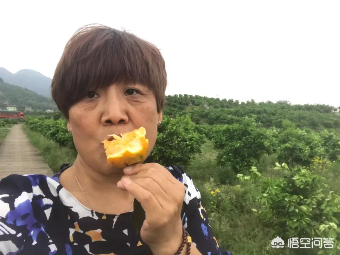 各品牌库存汽车报价图片,各品牌的车的图片和价格