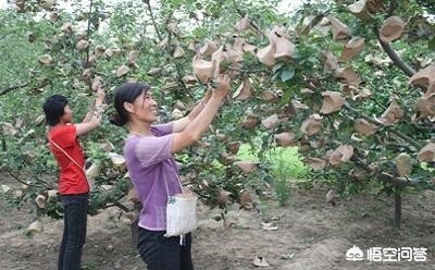 各品牌库存汽车报价图片,各品牌的车的图片和价格