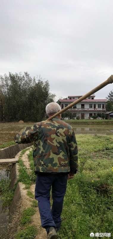 自我介绍海外生活，自我介绍海外生活怎么写