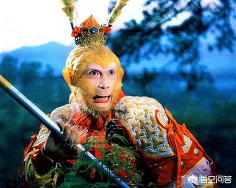 猴子照片猴子照片高清图片大全