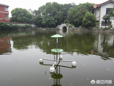 [投放5200尾灭蚊鱼]超声波驱蚊器对鱼有影响吗？