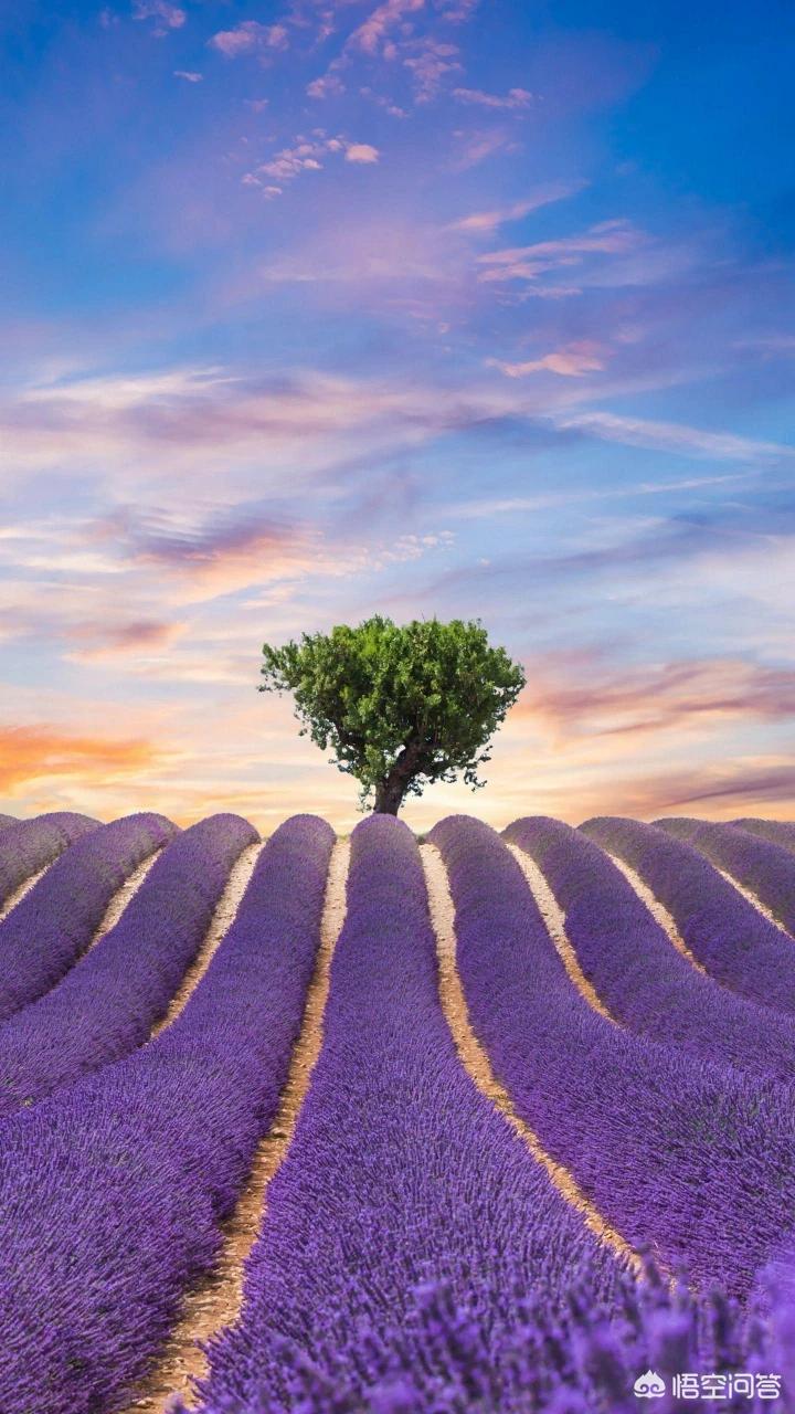 南宁一男子抱可疑纸箱讨债,小区居民遭“诈弹”惊魂, 你怎么看? 南宁一男子抱可疑纸箱讨债,小区居民遭“诈弹”惊魂, 你怎么看?