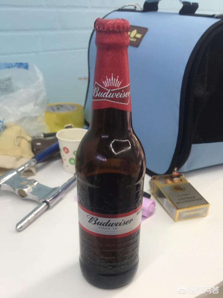 百威纯生(百威纯生和一般百威的区别?) 百威纯生(百威纯生和一般百威的区别?)