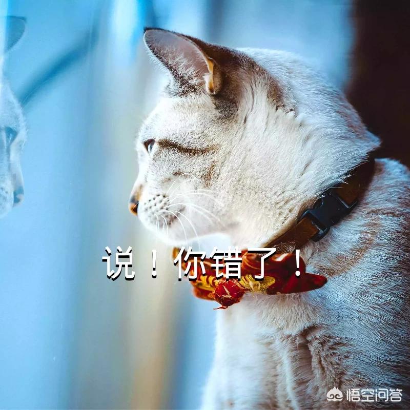 争吵后丈夫跳河身亡（白色毒网丈夫跳河是哪一集？）