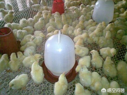 快速搭建网站设计软件下载